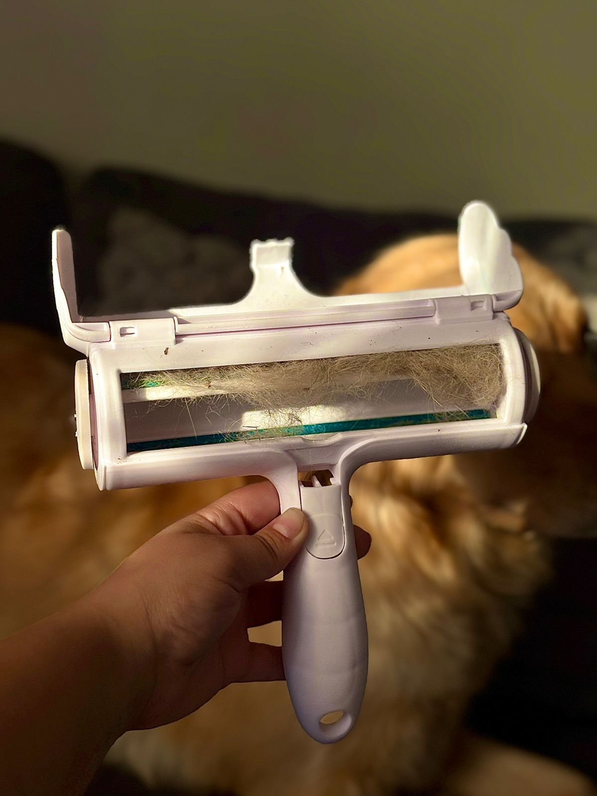 Rodillo Quitapelos Pro™ – Elimina Pelos de Mascotas al Instante