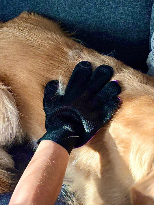 Guante Quitapelos para Mascotas Pro™ – Cepilla y Elimina Pelos al Mismo Tiempo