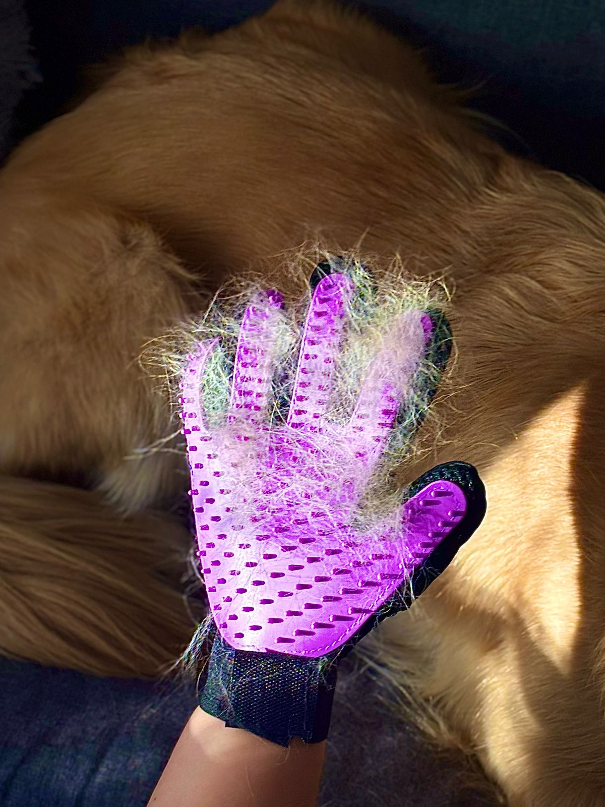 Guante Quitapelos para Mascotas Pro™ – Cepilla y Elimina Pelos al Mismo Tiempo
