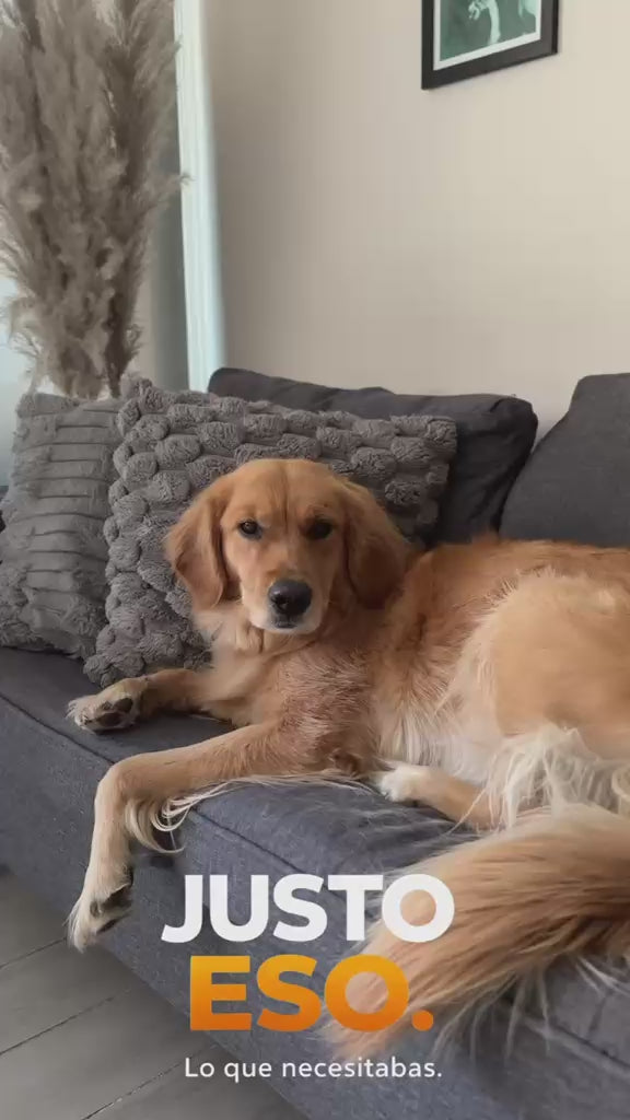 Cargar video: Rodillo Quitapelos Pro™ en acción – elimina pelos de mascotas al instante